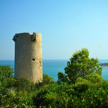 Porta D'irta *