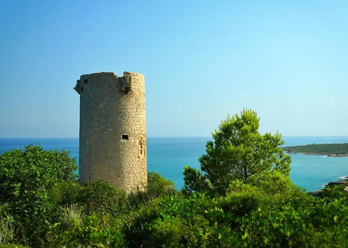 Porta D'irta *